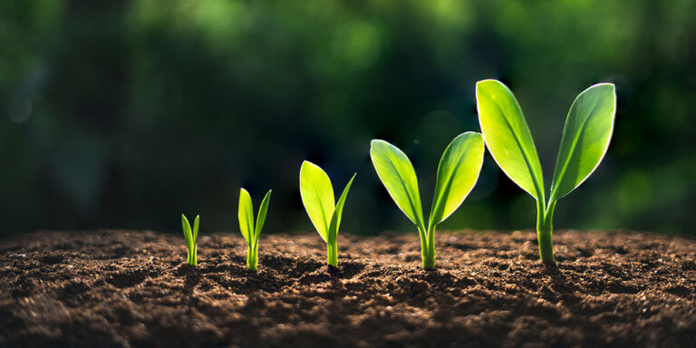 Why Leadership Coaching Is More Important Than Ever
