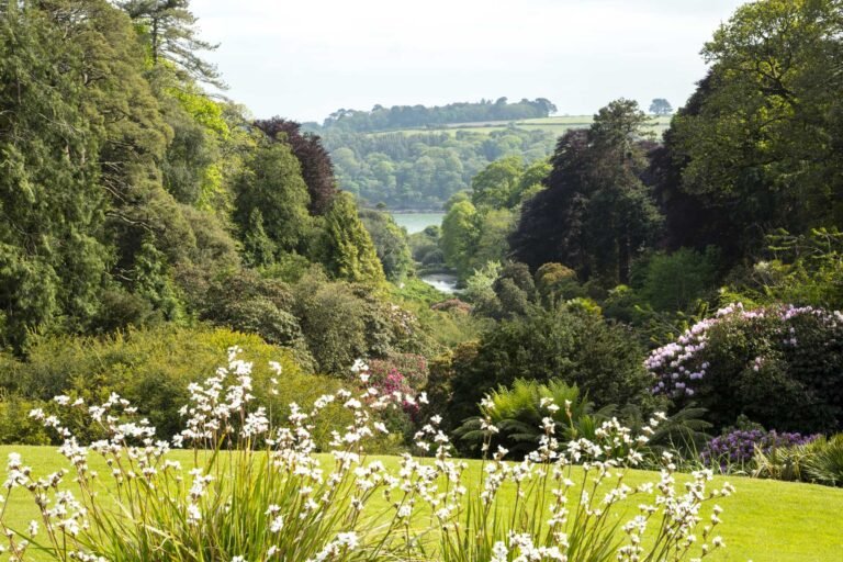 Reflections on Individual and Team Coaching – A Journey with Cornwall National Landscape